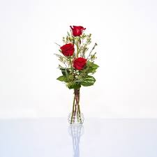 Hirzel canning co | 1,045 followers on linkedin. Florist In Sylvania Toledo Ohio Hafner Florist