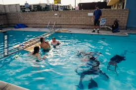 That baby was spencer elden. Shooting Nirvana Nevermind Album Cover 9gag