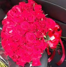 Maybe you would like to learn more about one of these? Ddg Flower Wholesale And Distributor Home Facebook