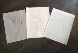 Example More Testing From Right To Left 1 Plate Made With Tracing Paper And Grass Stalks 2 Print Of The Grass 3 Ghost Print Letterpress Monoprint Prints