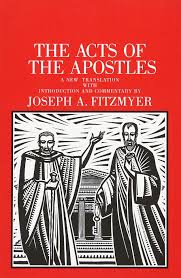 This title may reflect some official status. The Acts Of The Apostles The Anchor Yale Bible Commentaries Fitzmyer Joseph A 9780300139822 Amazon Com Books