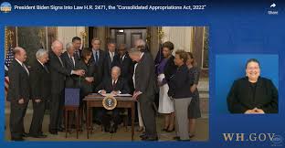 Image result for Bidens grantii