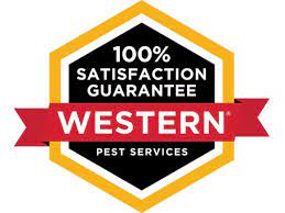 Cape may court house, nj 08210. Western Pest Services 1131 S Route 9 Cape May Court House Nj Patio Deck Cleaning Restoration Mapquest