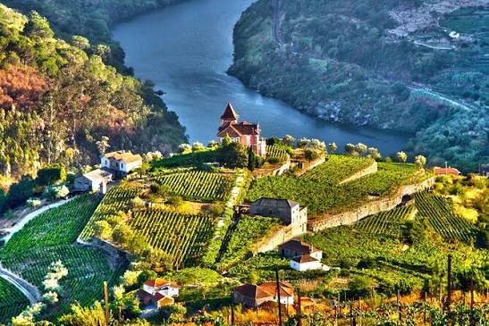 Douro Valley Private Tour with Wine Tastings from Porto (with Reviews)