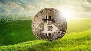 Mr musk shared the meme with #bitcoin. Elon Musk Wants Bitcoin To Become Environmentally Friendly Can He Convince The Crypto S Devotees Euronews