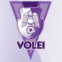 Access to thousands of wallpapers. Fc ArgeÈ™ PiteÈ™ti Rosters Women Volleybox Net