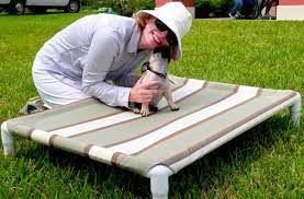 Maybe you would like to learn more about one of these? Diy Elevated Dog Bed Like Kuranda Pet Project