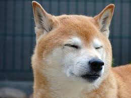 Shiba inu (shib) price is up 82.11% in the last 24 hours. Shiba Inu Shib Price Jumps Over 100 On Major Crypto Exchange Listings Cryptoglobe
