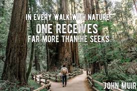 10 John Muir Quotes To Inspire You To Take A Muir Woods Tour