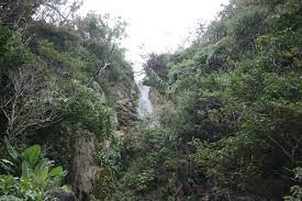 道の駅 おおぎみ 親川滝 ウェーガーダキ 道の駅 道 流れ落ちる水