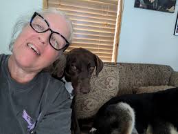 Two year old lab with extreme separation anxiety