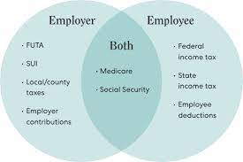 Employer Payroll Tax Calculator | Gusto