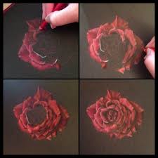 Rose Done With Prismacolor On Black Paper Black Paper Drawing Flower Drawing Color Pencil Art