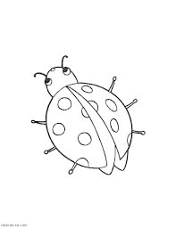 Whether you need color games for toddlers for free for fun times of your little ones, or animals coloring book so your kids can learn the name of animals, birds, and insects, this is the app to do it. Insects Coloring Pages 100 Pictures Free Printable