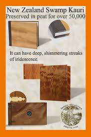 The Amazing Swamp Kauri Edible Christmas Gifts Baby Shower Buffet History Gift