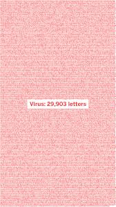 Coronavirus subtyping and mutation analysis. Coronavirus Ccu Cgg Cgg Gca The 12 Letters That Changed The World Ciencia El Pais