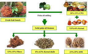 Discover the season breakdown for empty fruit bunch (epb), including harvest, plantation and high/low periods for more than 15 countries. Hydrothermal Treatment Of Empty Fruit Bunch And Its Pyrolysis Characteristics Springerlink