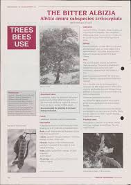 Image result for Albizia amara