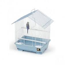 Stay updated about bird cages pets at home. Pin On Bird Cages