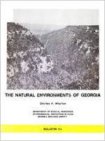 Image result for Cyperus longicarpus