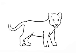 Sheets for preschoolers cover asian and african animals for their first geography lessons, while bible scenes of noah's ark and the nativity animals are ideal free activities for sunday school. How To Draw African Animals Step By Step Easy Animals 2 Draw
