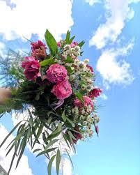 Hours may change under current circumstances Elite S Flowers Florist Shop Hollywood Fl Partner