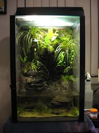 Pin By Amanda Eldridge On Rosliny Orchid Terrarium Aquatic Turtle Tank Planted Aquarium
