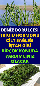 Deniz Borulcesi Bircok Konuda Imdadiniza Yetisecek Herbs Health Food