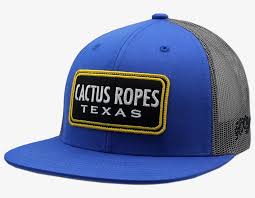 Vintage disneyland trucker snapback hat cap size osfa 80s disney. Hooey Youth Cactus Ropes Blue And Grey Mesh Snapback Baseball Cap Png Image Transparent Png Free Download On Seekpng