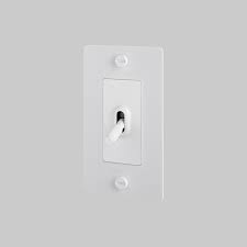 1g Toggle White Buster Punch Switches Black Light Switch