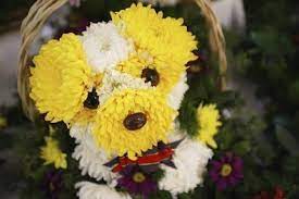 $50 for $100 toward prescription eyeglasses or sunglasses from bestbuyeyeglasses.com. Dogs Made Out Of Flowers 1 Flowers