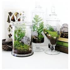 Terrarium In An Apothecary Jar 175 Make Your Own For A Fraction Of That Jars From Hobby Lobby Terrarium Centerpiece Terrarium Wedding Planter Pots Indoor