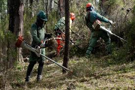 Autarca do Sardoal recusa distribuir folhetos do Governo sobre limpeza de terrenos