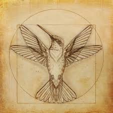 Leonardo Da Vinci Hummingbird Drawing Realise Par Wcosta Kunst Ideeen Tekenen Tatoeages Klassieke Kunst