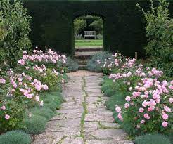 Tintinhull Garden Rock Garden Landscaping Garden Shrubs Garden Tours