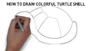 Anatomy of a turtle shell. How To Draw Colorful Turtle Shell Quickly And Easily Youtube