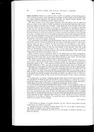 Image result for Diplolophium buchananii