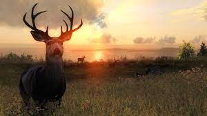 Shoppe die hunter auswahl bei asos, mit kostenlosem lieferung nach deutschland! Thehunter Classic On Steam