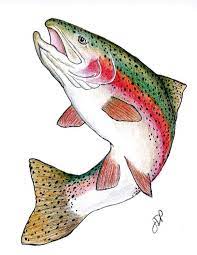 We did not find results for: Rainbow Trout Drawing Peintures De Poissons Animaux Peinture