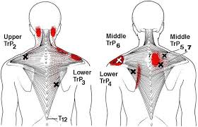 Pin On Fitness