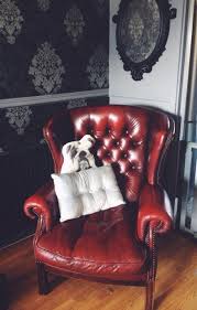 Some kinds of leather can be dyed a color, completely different, while thoroughly clean the sofa. Diy How To Re Colour Your Leather Furniture Style Squeeze