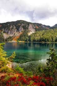 1000+ Colorful Nature Pictures | Download Free Images on Unsplash