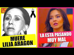 Browse 12 lilia aragon stock photos and images available, or start a new search to explore more stock photos. Oqjsdaplqbed M