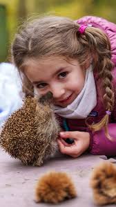 International School of Zug and Luzern