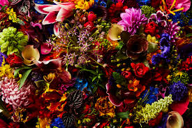 Jardins Des Fleurs In 2020 October Flowers Flowers Floral Wreath