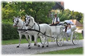 Hochzeitskutschen In Wien Fiaker Und Kutschen Mieten
