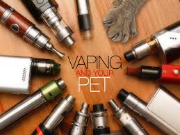 Maybe you would like to learn more about one of these? Community Pet Care Hospital Home Facebook
