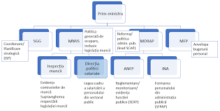 Administratorii cu contract de mandat nu pot intra in somaj tehnic. Http Www Anfp Gov Ro R Doc 2020 Rapoarte 2019 20raport 20management Pdf