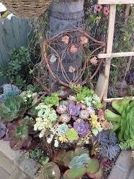 Beautiful Living Art Ideas From Chicweed In Solana Beach Www Chicweed Com Beautiful Living Succulents Solana Beach