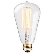 Globe Electric Vintage Edison 60 Watt S Type Bulb Bed Bath Beyond